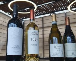 Purcari Wineries integrează Timbrus Purcari Estate